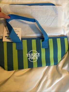 Trader Joe's Blue & Lime Striped Mini Cooler